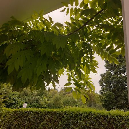 City Apartment Tuebingen-Lustnau Екстер'єр фото