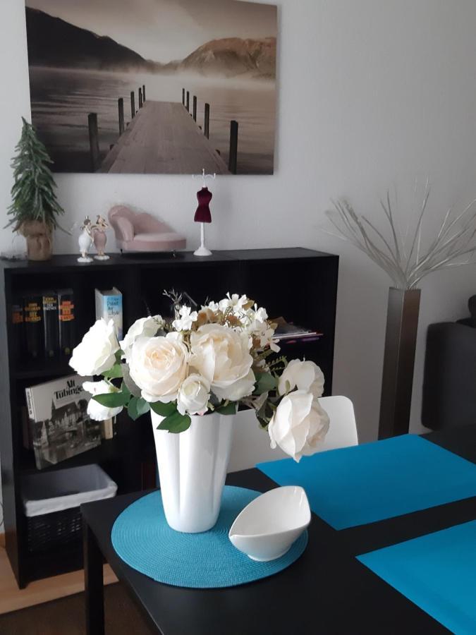 City Apartment Tuebingen-Lustnau Екстер'єр фото
